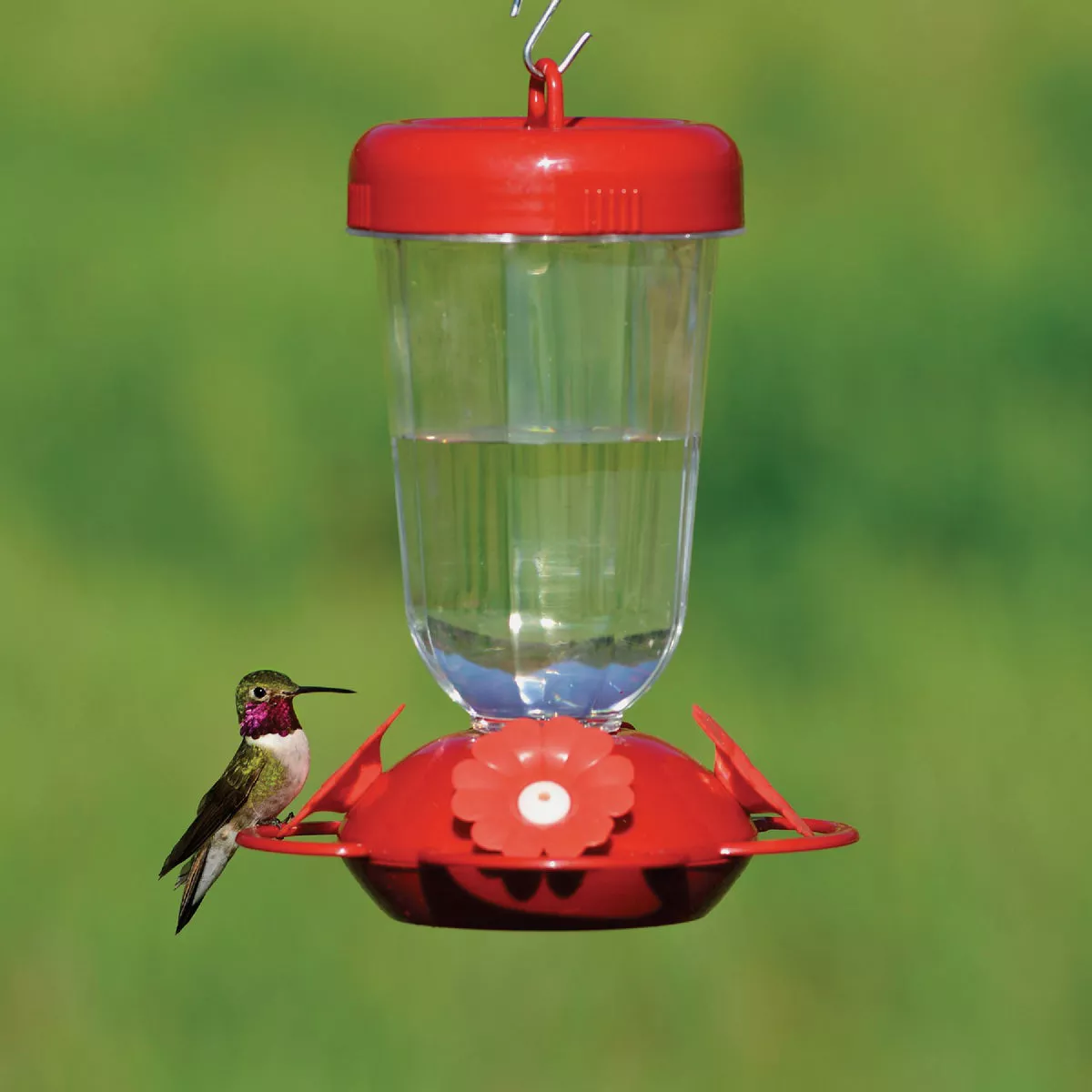 Perky-Pet 16 Oz. Plastic Red Flower Top-Fill Hummingbird Feeder - photo 2