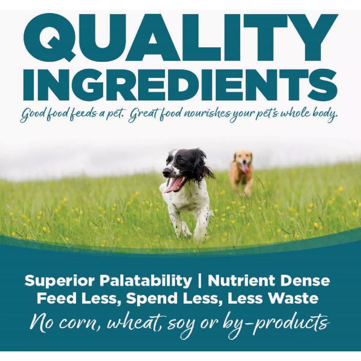 NutriSource 12.3 Oz. Trout & Rice Recipe Wet Dog Food - photo 3