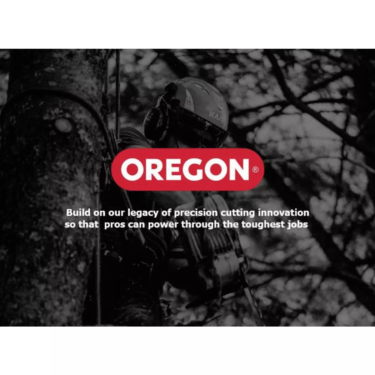 Oregon 3/16 In. Chainsaw File Guide - photo 4