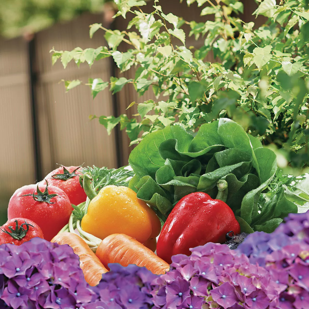 Bonide 5 Lb. Hydrated Lime - photo 4