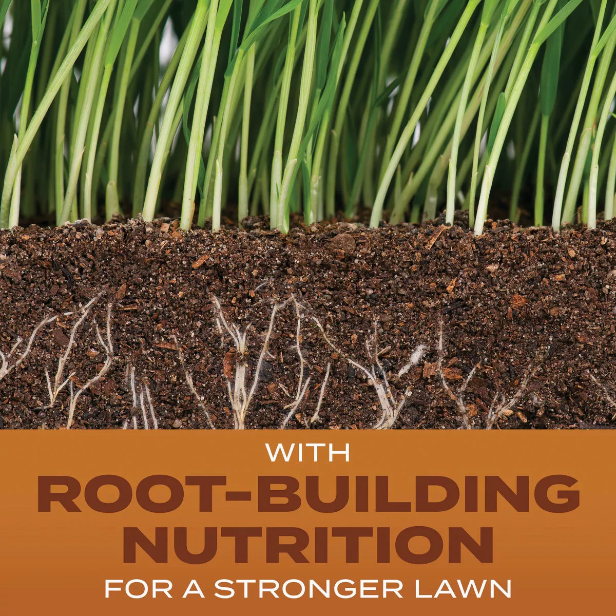 Scotts Turf Builder 2.4 Lb. 200 Sq. Ft. High Traffic Mix Grass Seed, Fertilizer, and Soil Improver Combination - photo 2