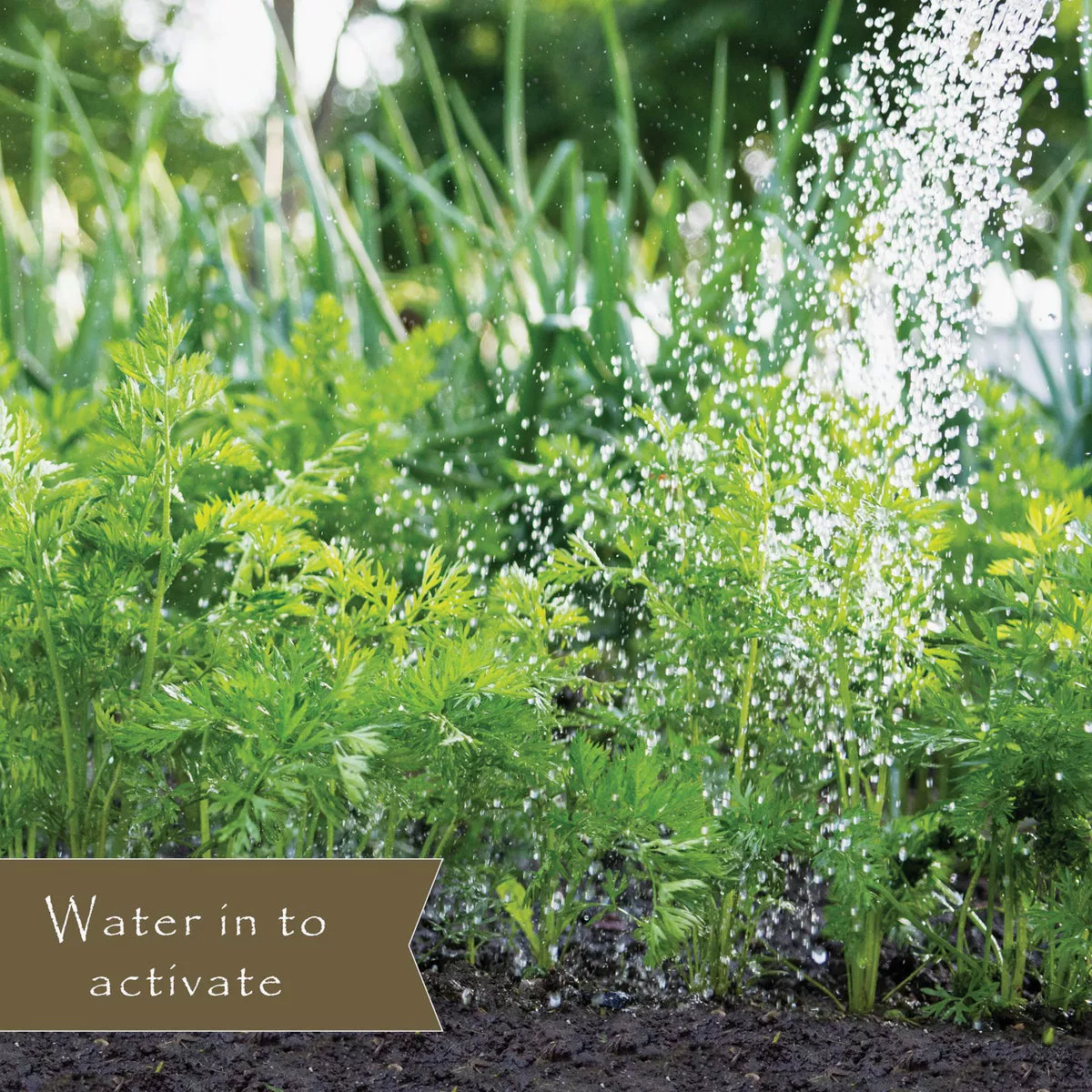 Preen 5 Lb. Ready To Use Granules Natural Vegetable Garden Weed Preventer - photo 5