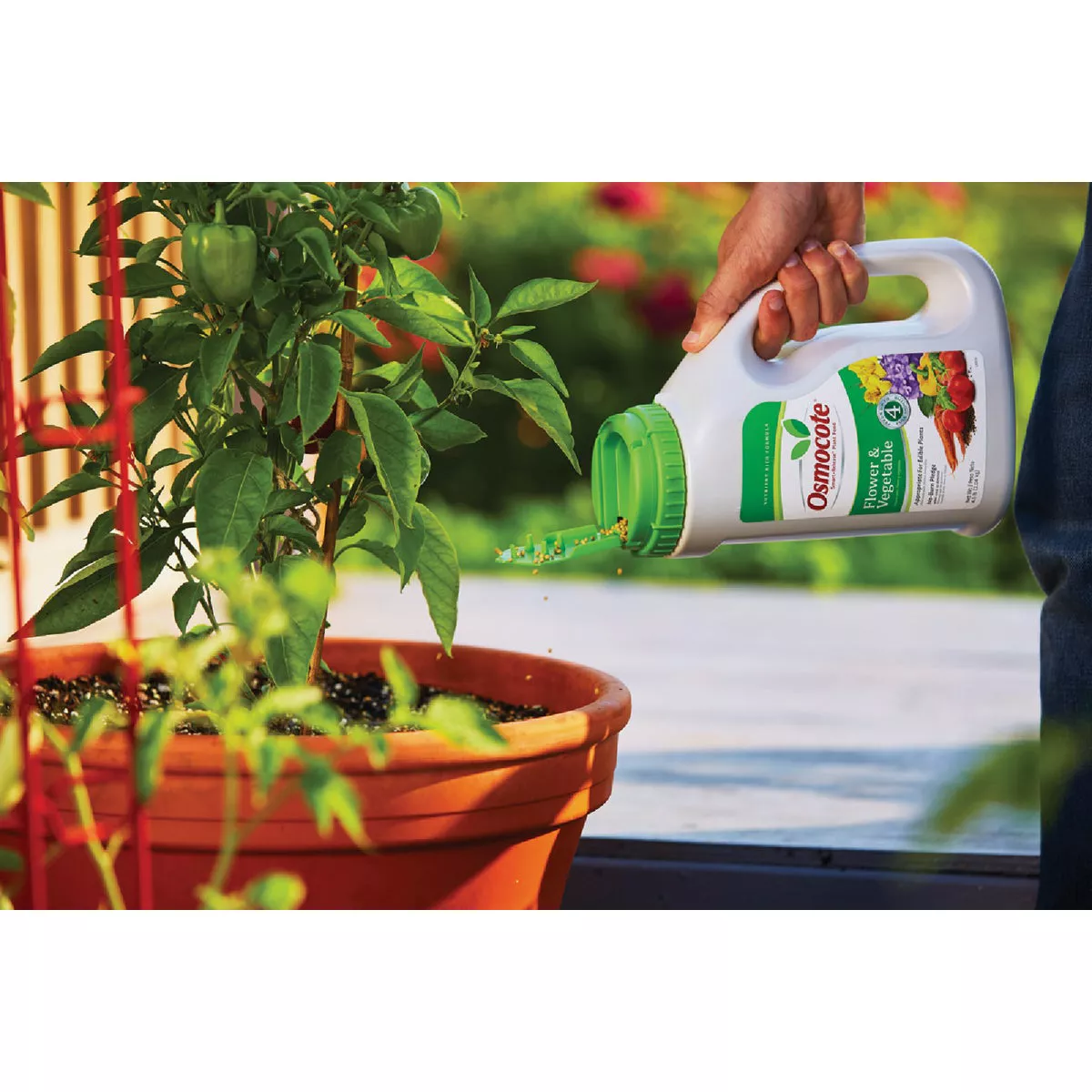 Osmocote Smart-Release 4.5 Lb. Flower & Vegetable Plant Food - photo 4