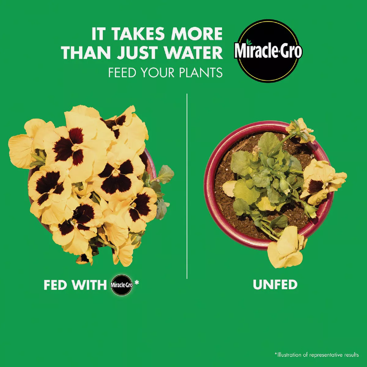 Miracle-Gro LiquaFeed Bloom Booster 16 Oz. Liquid Flower Food (2-Pack) - photo 3