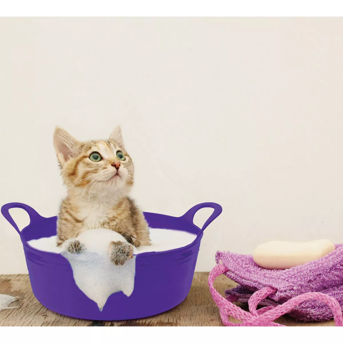 Tuff Stuff 5 Qt. Sky Blue Plastic Flex Tub - photo 2