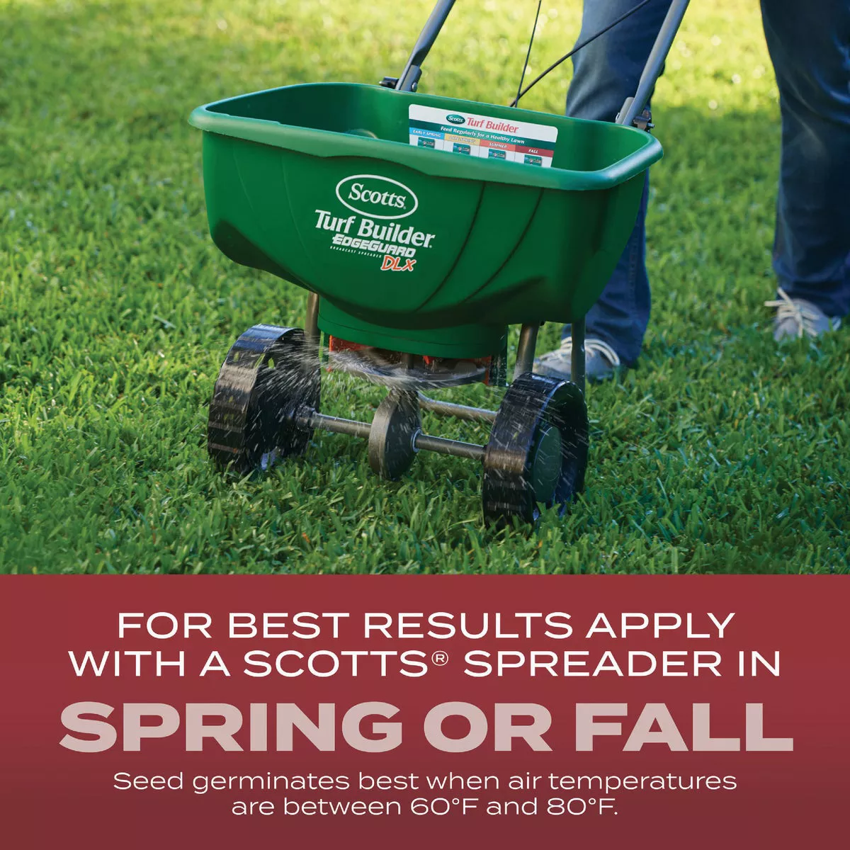 Scotts Turf Builder 2.4 Lb. 200 Sq. Ft. Sunny Mix Grass Seed, Fertilizer, and Soil Improver Combination - photo 5