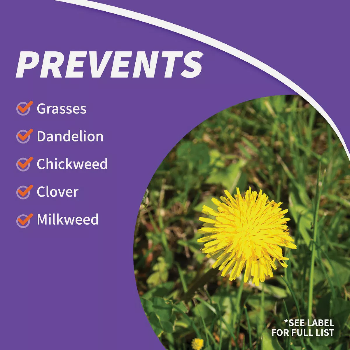 Bonide KleenUP 128 Oz. Ready To Use Wand Sprayer Weed & Grass Killer High Efficiency Formula - photo 7