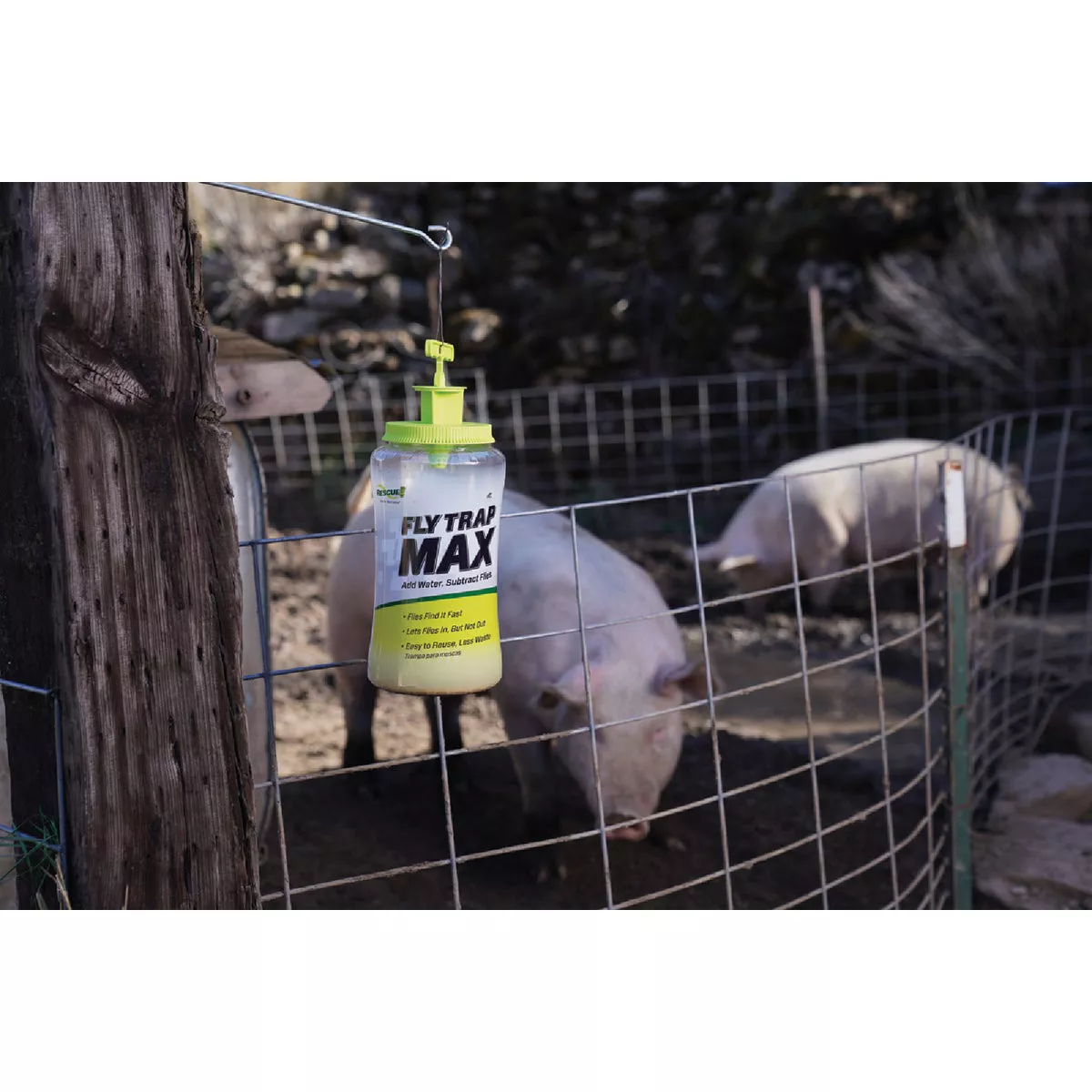 Rescue Fly Trap Max Reusable Fly Trap - photo 5