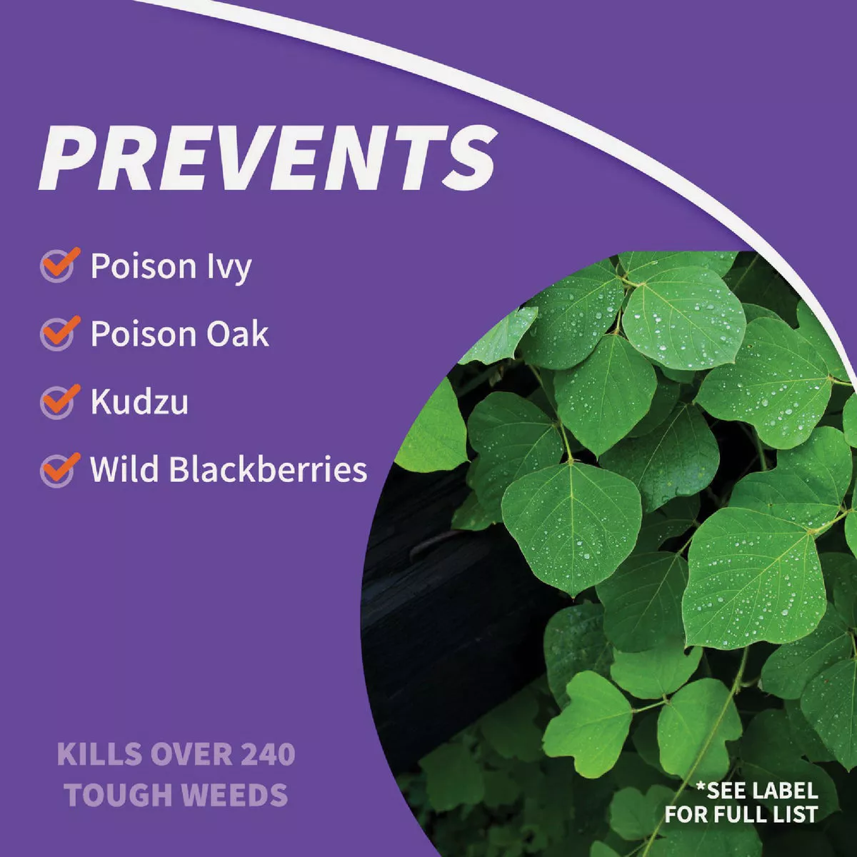 Bonide BK-32 32 Oz. Concentrate Poison Ivy & Brush Killer - photo 5