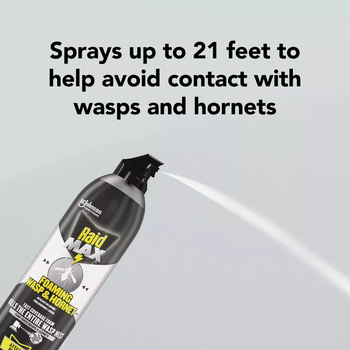 Raid Max 16.5 Oz. Foam Wasp & Hornet Killer - photo 4