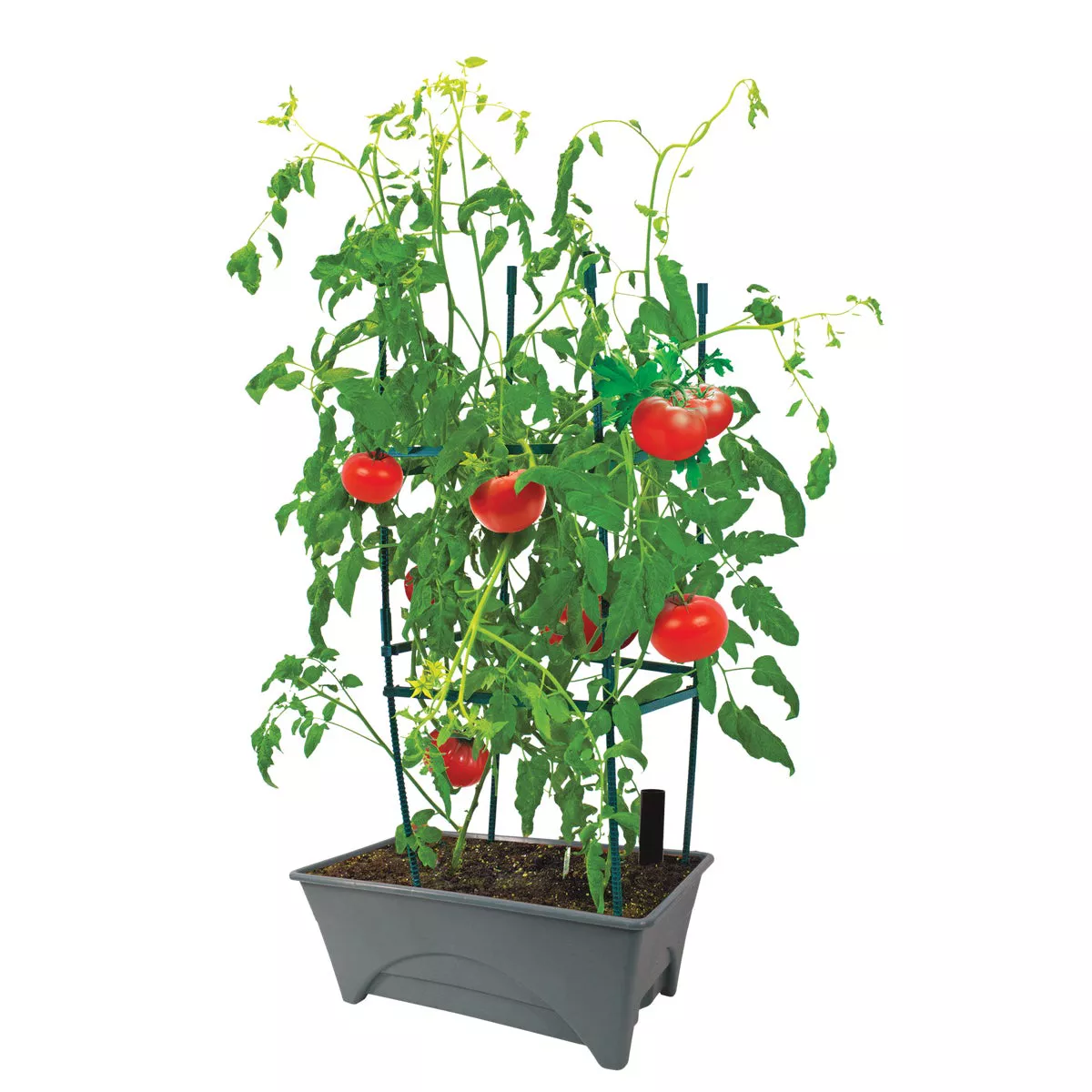 Start Pickin' 20 In. W. x 8 In. H. x 12 In. L. Slate Polyethylene Raised Bed Grow Box