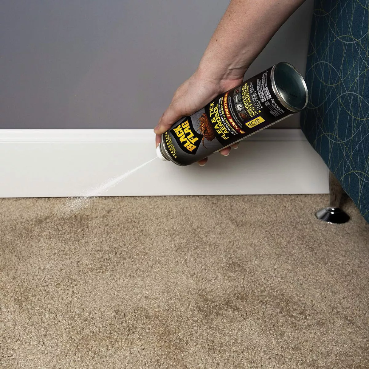 Black Flag 16 Oz. Aerosol Spray Flea & Tick Upholstery & Pet Bedding Home Treatment Plus Growth Regulator - photo 5