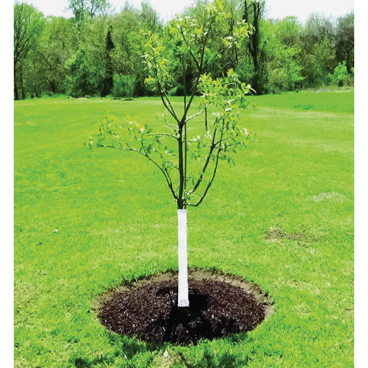 DeWitt White Polypropylene 3 In. x 50 Ft. Tree Wrap - photo 3