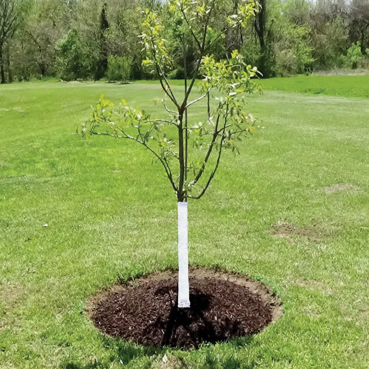 DeWitt White Polypropylene 3 In. x 50 Ft. Tree Wrap - photo 2