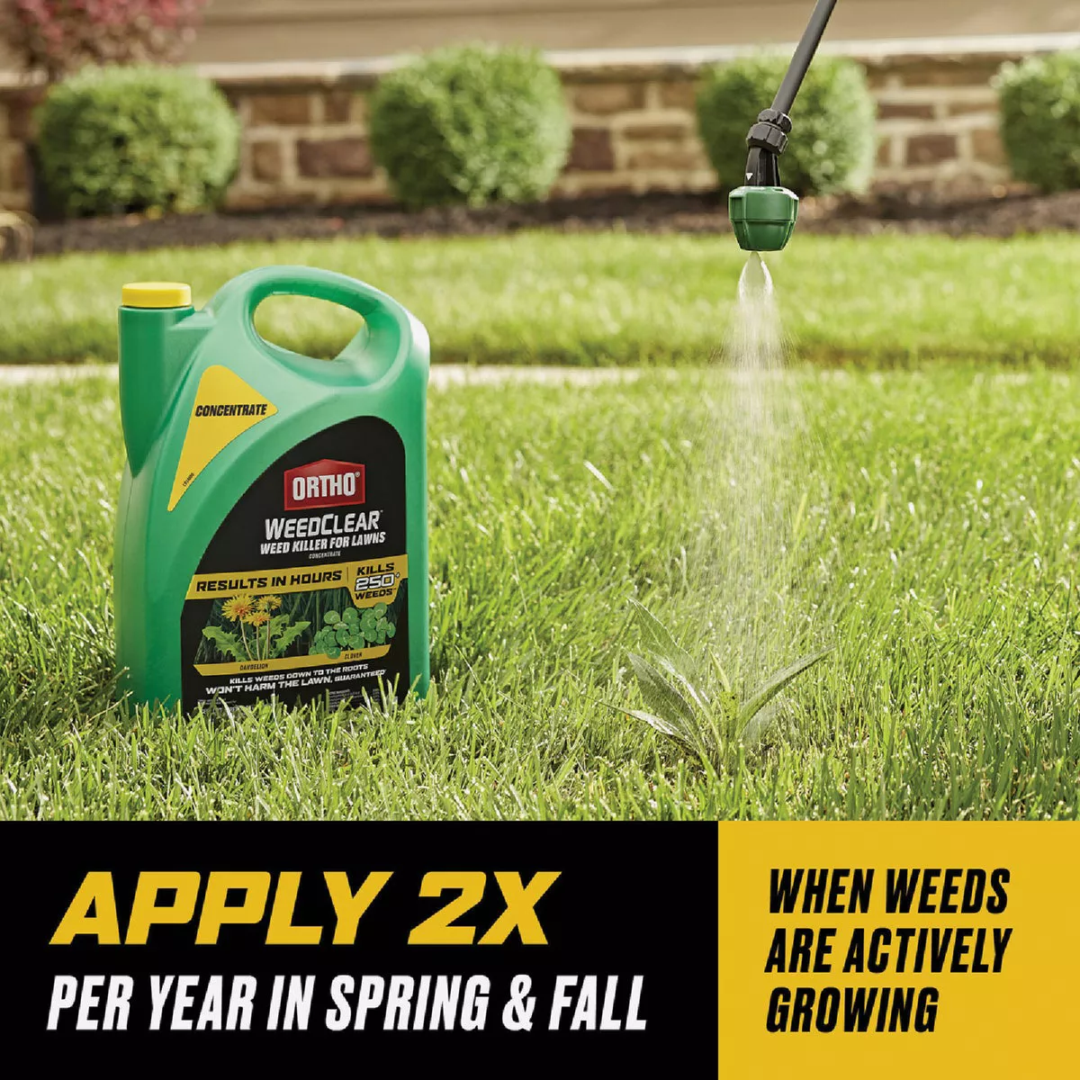 Ortho WeedClear 1 Gal. Concentrate Weed Killer For Lawns - photo 6
