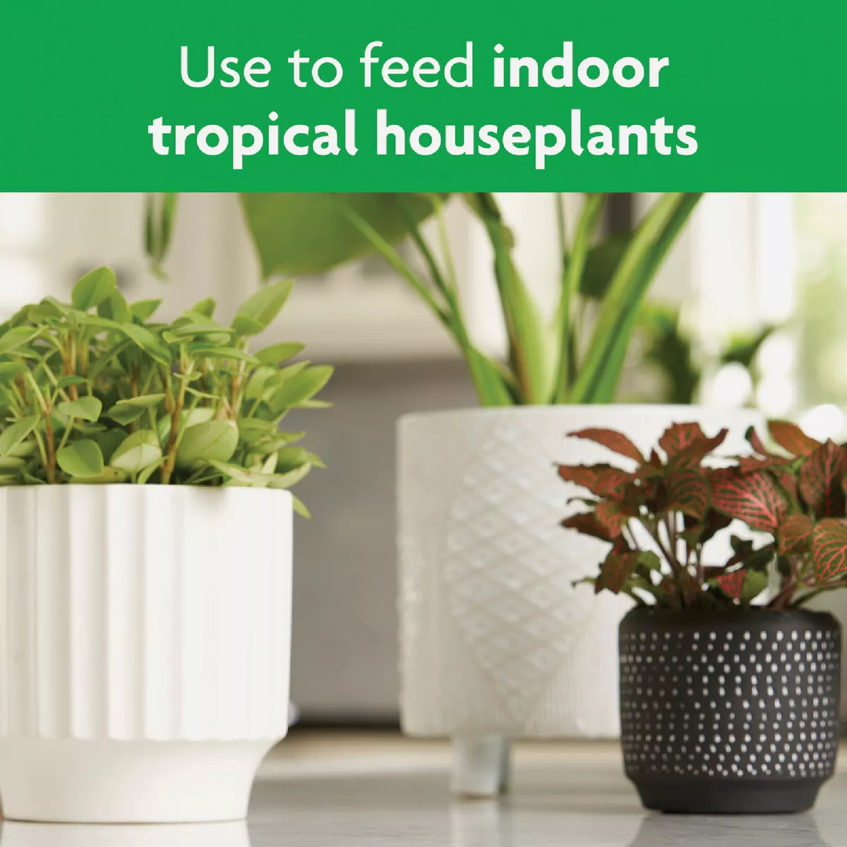 Miracle-Gro 8 Oz. Tropical Houseplant Food - photo 5
