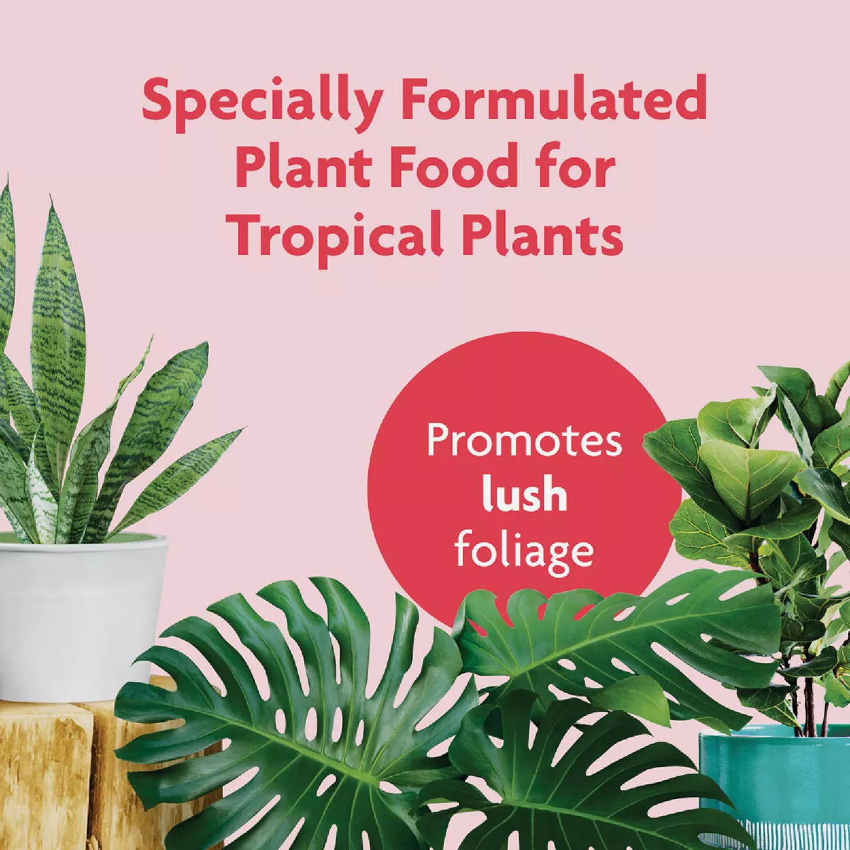 Miracle-Gro 8 Oz. Tropical Houseplant Food - photo 2