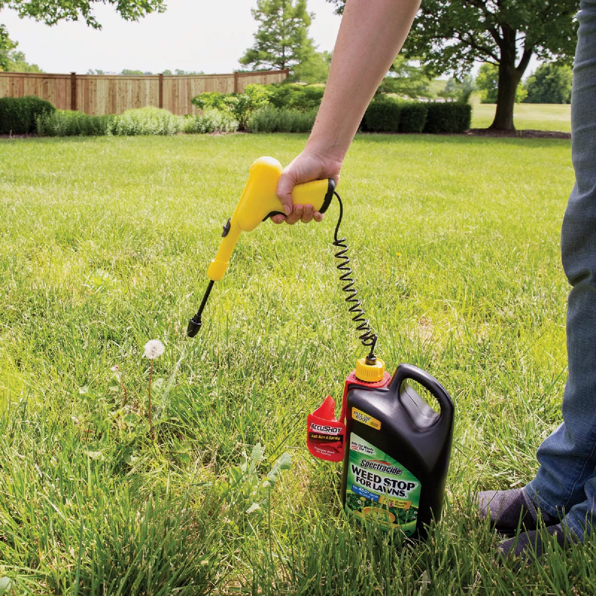 Spectracide Weed Stop for Lawns 1 Gal. Ready To Use AccuShot Sprayer Weed Killer - photo 3
