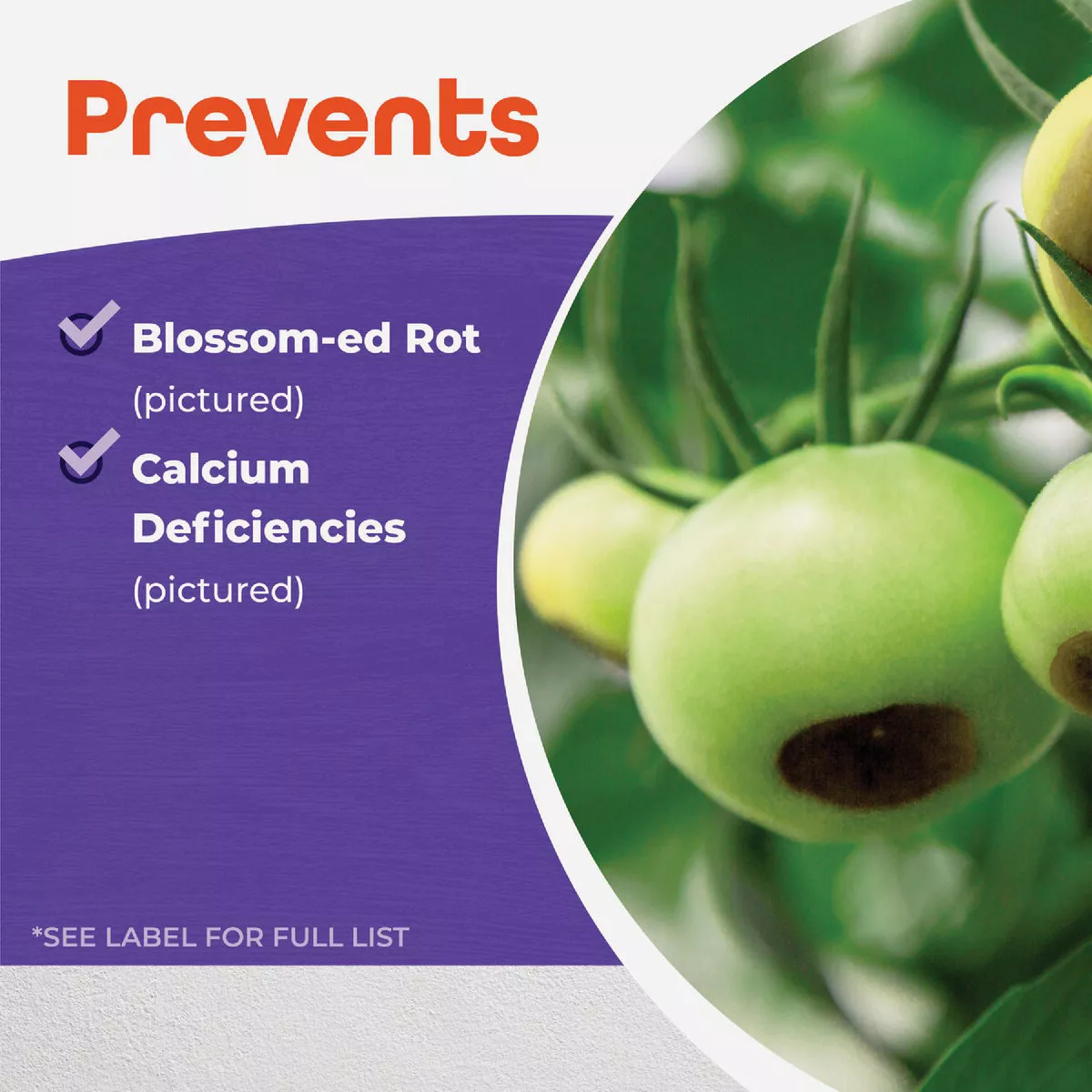 Bonide Rot-Stop 16 Oz. Concentrate Tomato Blossom End Rot Preventer ...