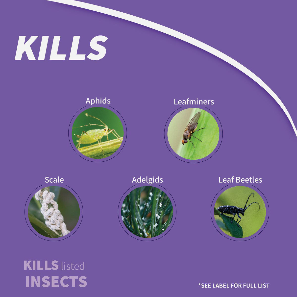 Bonide 32 Oz. Concentrate Annual Tree & Shrub Insect Control with