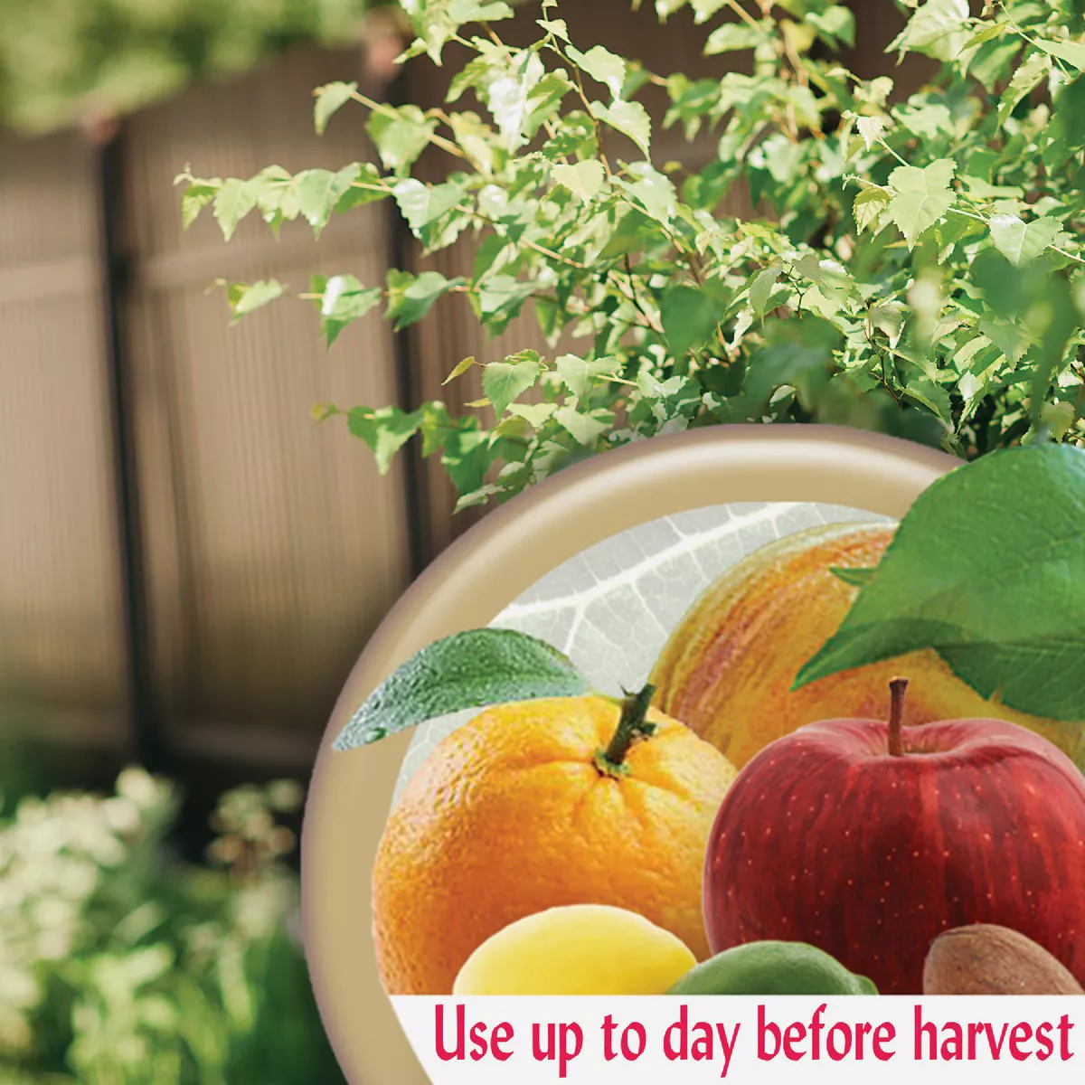 Bonide 32 Oz. Concentrate Orchard Spray Fruit Tree Insect & Disease Killer - photo 4