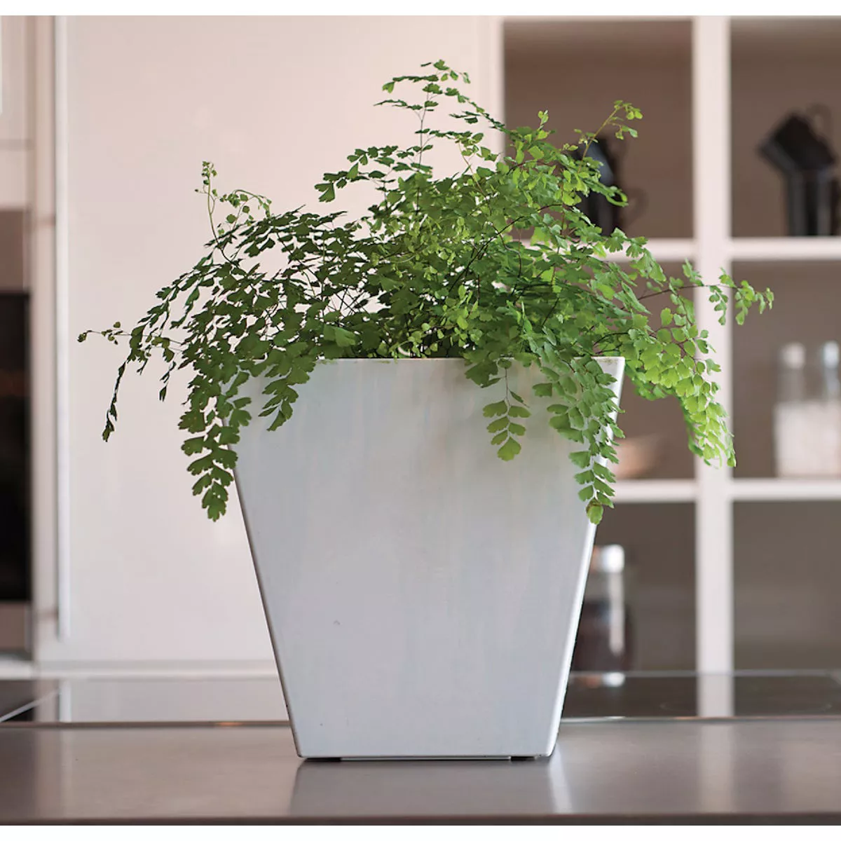 Novelty ArtStone Ella 12 in. W. x 12 in. H. x 12 in. L. x White Resin Planter - photo 3