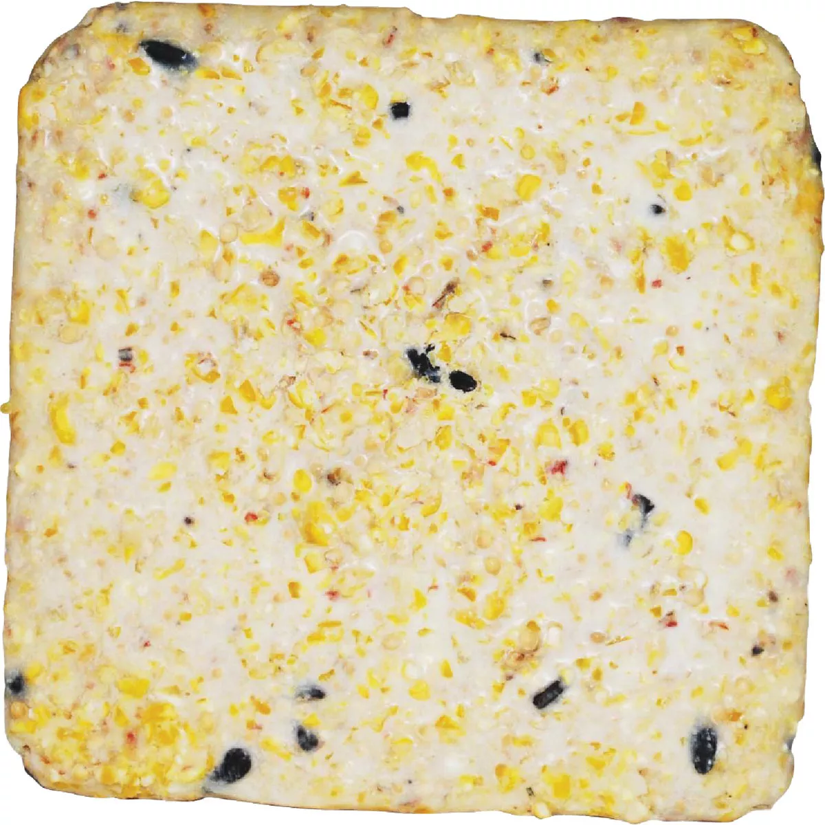 Suet Plus 11 Oz. High Energy Suet (10-Pack) - photo 2