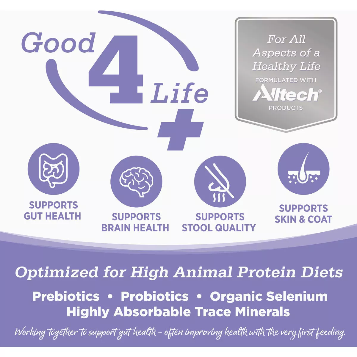 NutriSource 4 Lb. Chicken & Salmon Grain Free Dry Cat & Kitten Food - photo 6