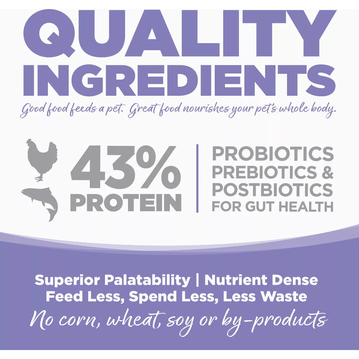 NutriSource 4 Lb. Chicken & Salmon Grain Free Dry Cat & Kitten Food - photo 3