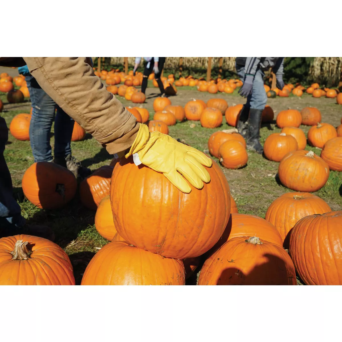 Kinco Women's Small Tan Cowhide Driver Work Glove - photo 3