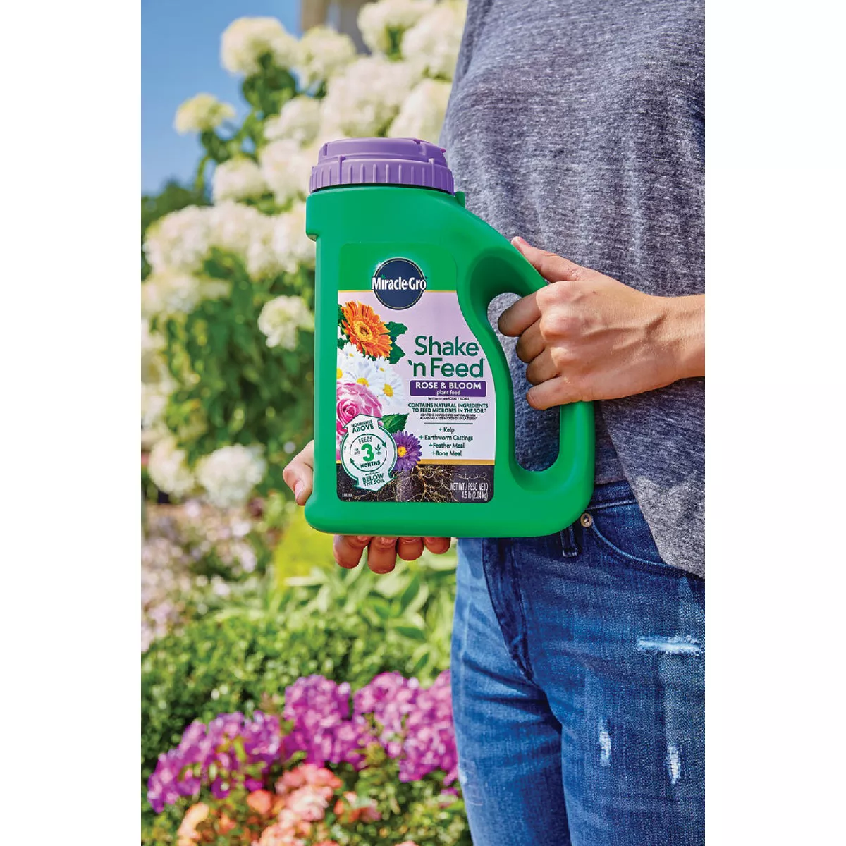 Miracle-Gro Shake 'n Feed 4.5 Lb. Rose & Bloom Plant Food - photo 4