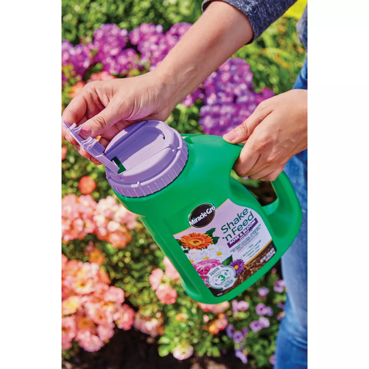 Miracle-Gro Shake 'n Feed 4.5 Lb. Rose & Bloom Plant Food - photo 5