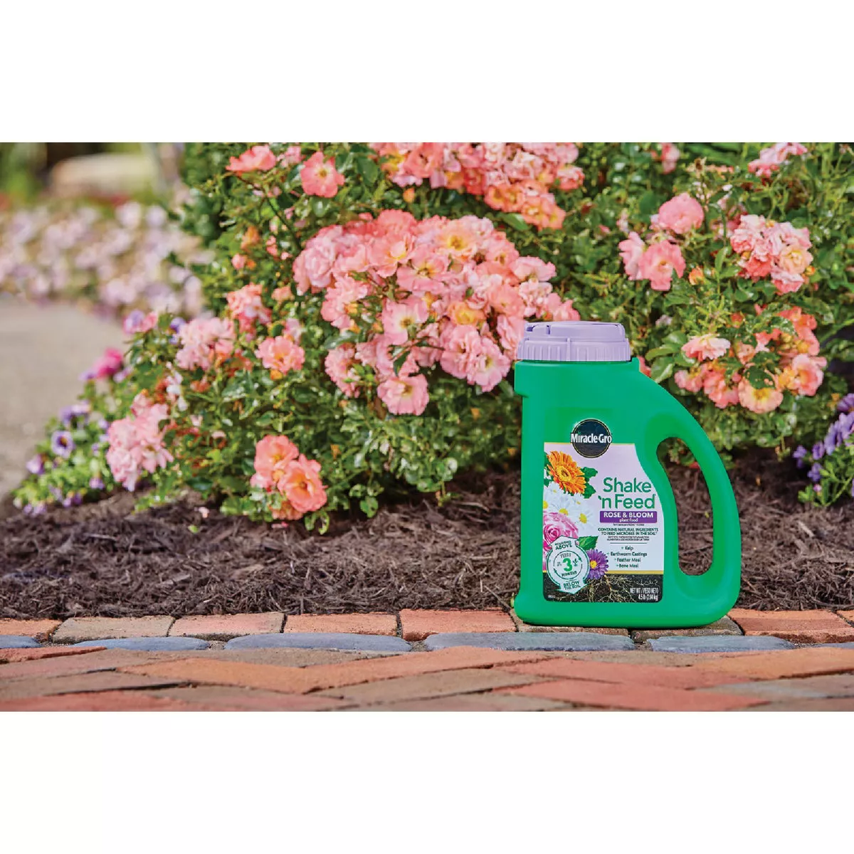 Miracle-Gro Shake 'n Feed 4.5 Lb. Rose & Bloom Plant Food - photo 3