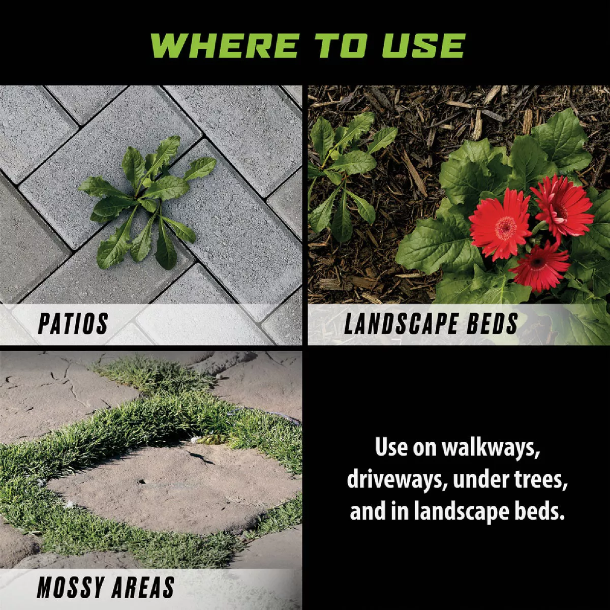 Ortho GroundClear 32 Oz. Concentrate Weed & Grass Killer - photo 5