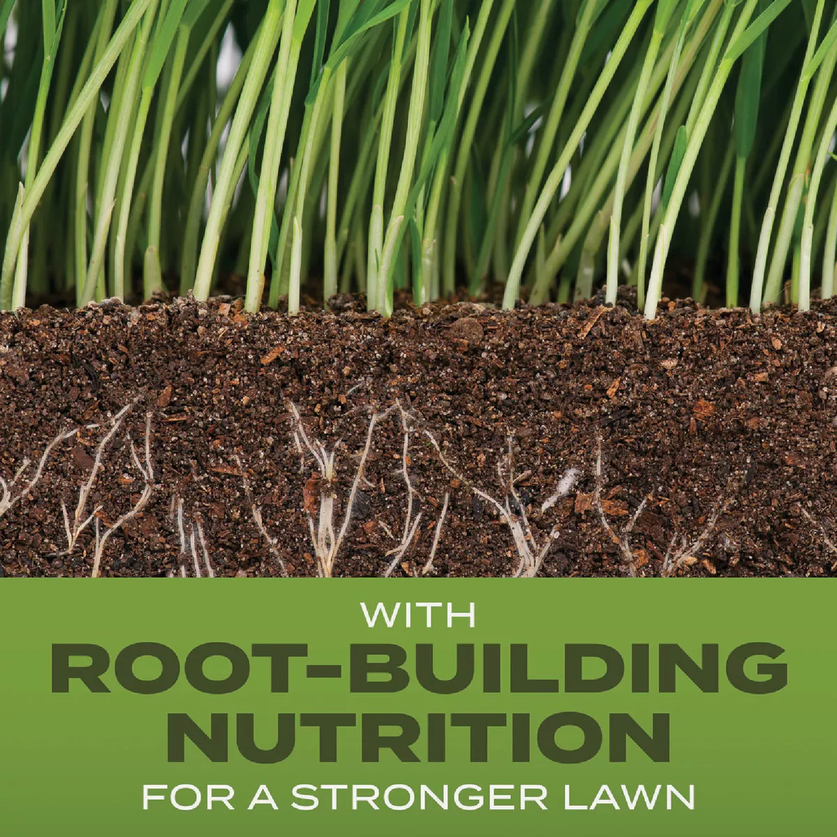 Scotts Turf Builder 5.6 Lb. 465 Sq. Ft. Tall Fescue Mix Grass Seed, Fertilizer, and Soil Improver Combination - photo 2