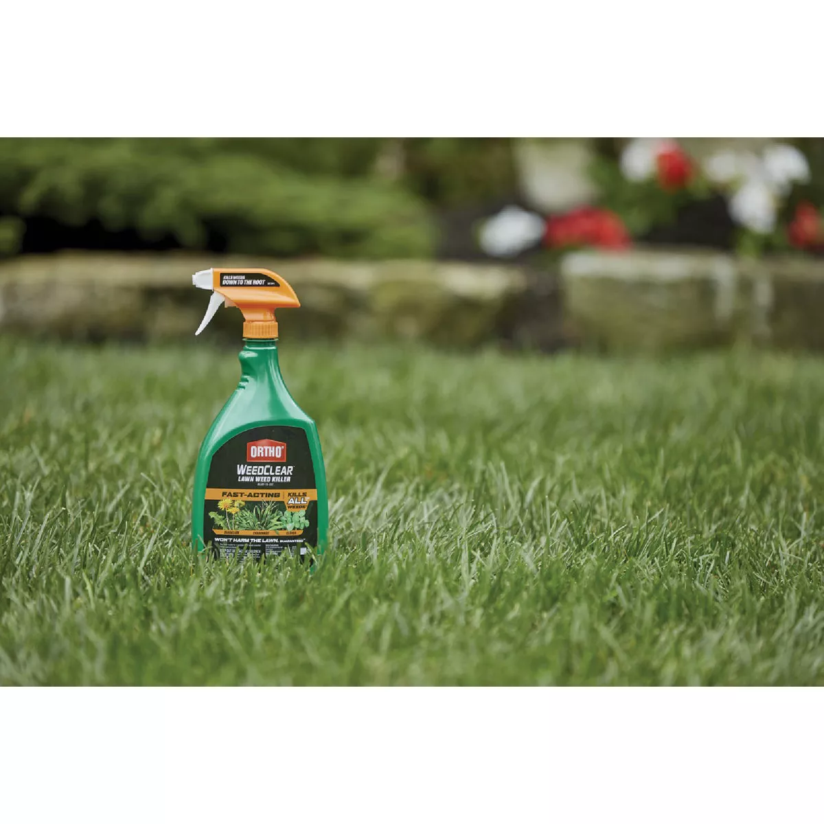 Ortho WeedClear 24 Oz. Ready-To-Use Trigger Spray Lawn Weed Killer - photo 4