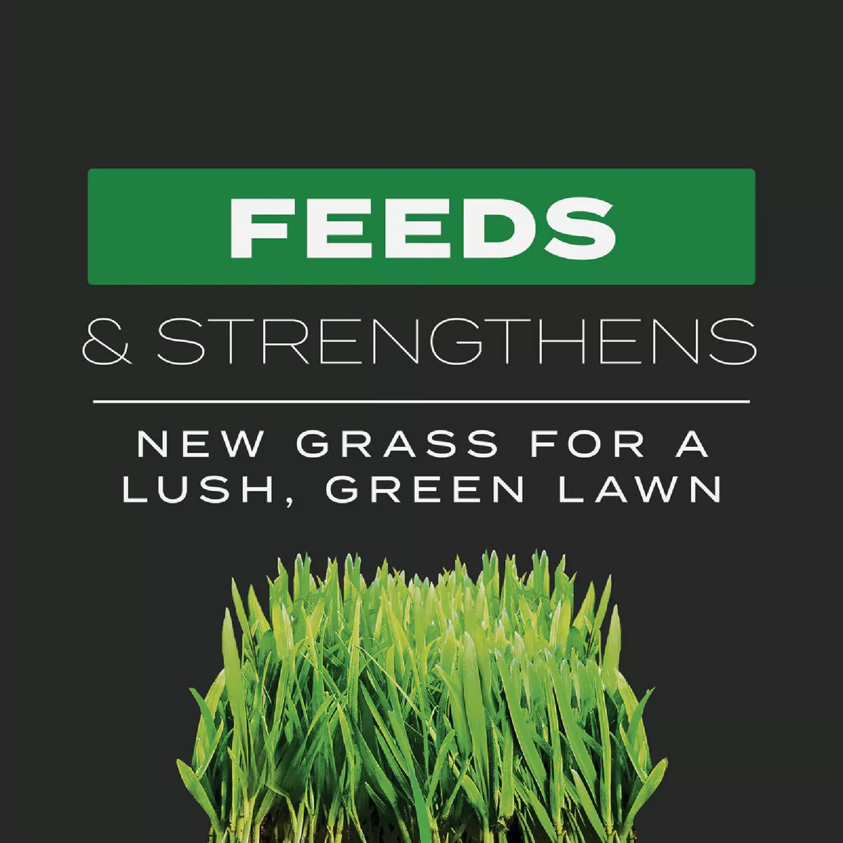 Scotts Turf Builder 17.2 Lb. 4000 Sq. Ft. Triple Action Built For Seeding - photo 4