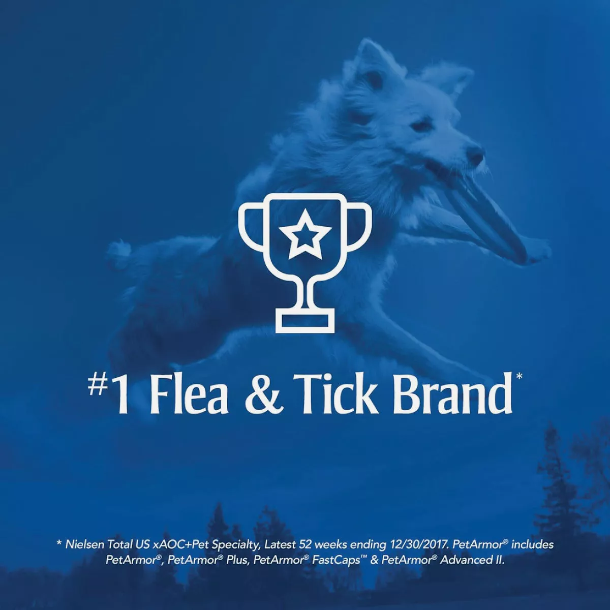 PetArmor Fast Act Plus 16 Oz. Trigger Spray Flea & Tick Treatment for Dogs & Cats - photo 5