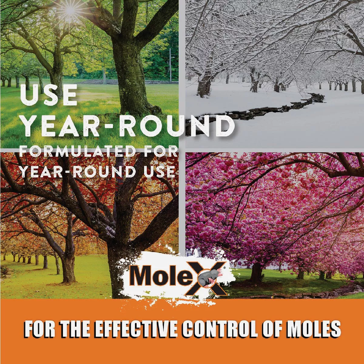 MoleX 8 Oz. Mole Killer - photo 5
