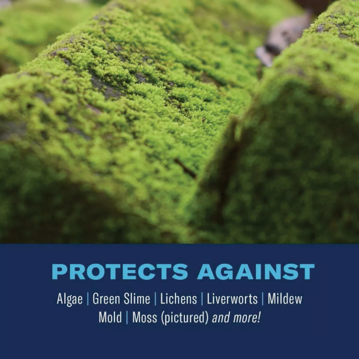 BioAdvanced 2-In-1 32 Oz. Ready To Spray Moss & Algae Killer with HPX Sprayer - photo 2