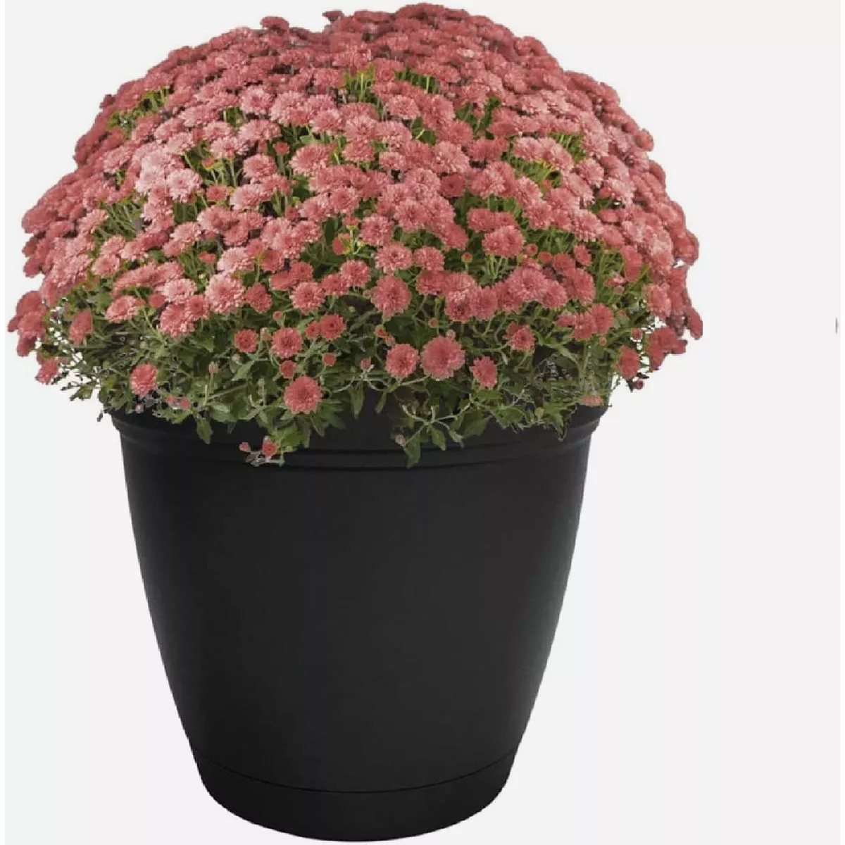 HC Companies Eclipse 8 In. Black Planter with Saucer - photo 2
