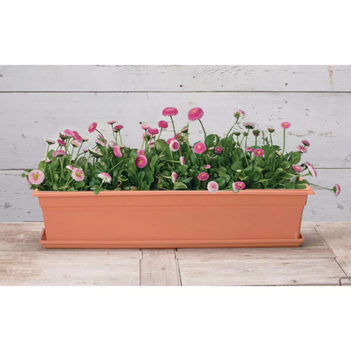 Novelty Countryside 30 In. Plastic Terra Flower Box Planter - photo 3