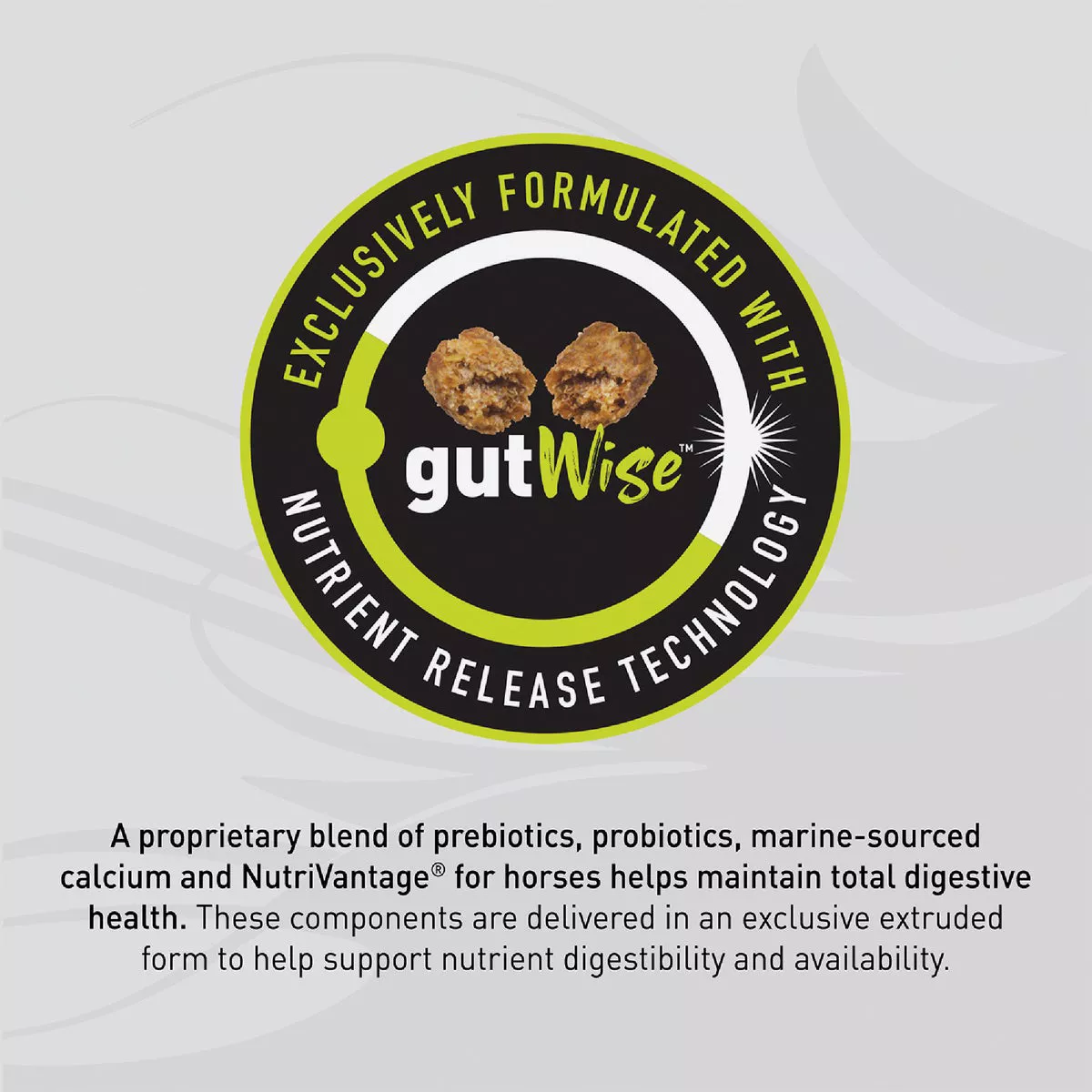 Kent Sentinel Safe Start 50 Lb. Horse Feed Do it Best