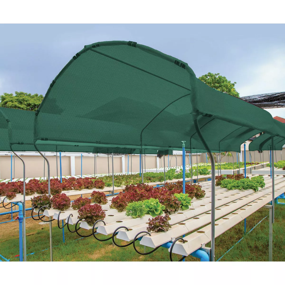Coolaroo 6 Ft. W. x 15 Ft. L. Rainforest 30% UV Shade Fabric - photo 4