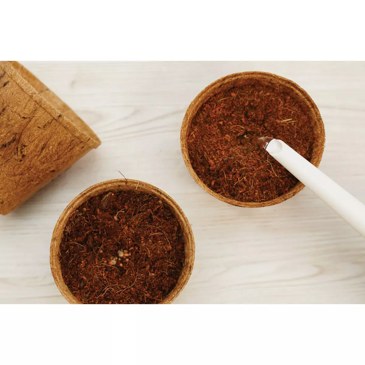 PlantBest 4.5 In. Coconut Coir Plantable Pot (6-Pack) - photo 3