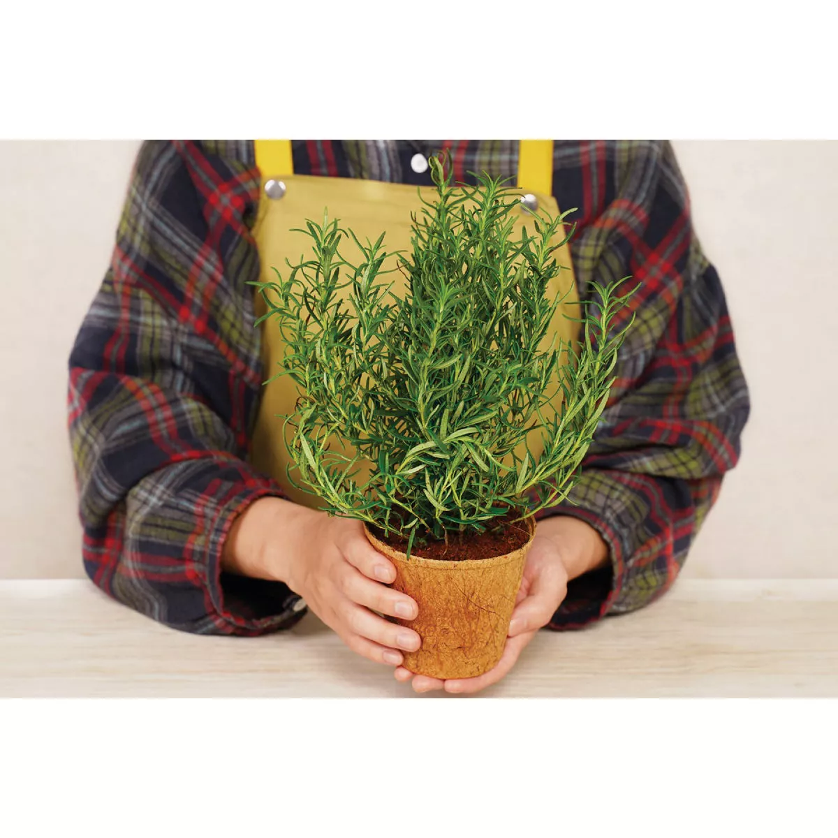 PlantBest 4.5 In. Coconut Coir Plantable Pot (6-Pack) - photo 2