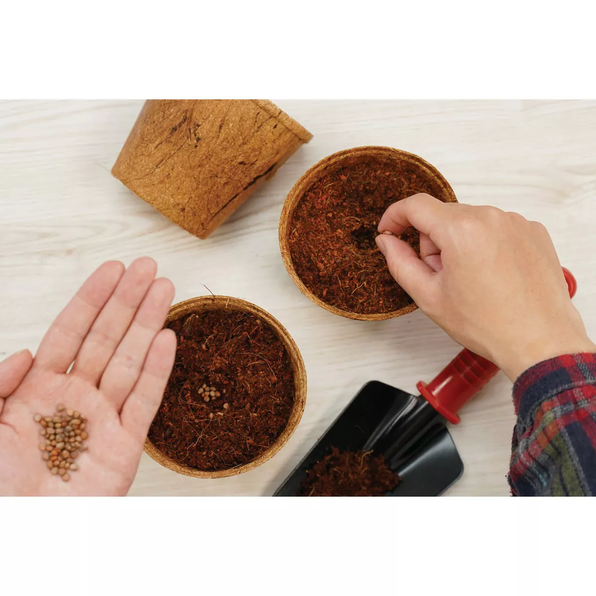 PlantBest 4.5 In. Coconut Coir Plantable Pot (6-Pack) - photo 4