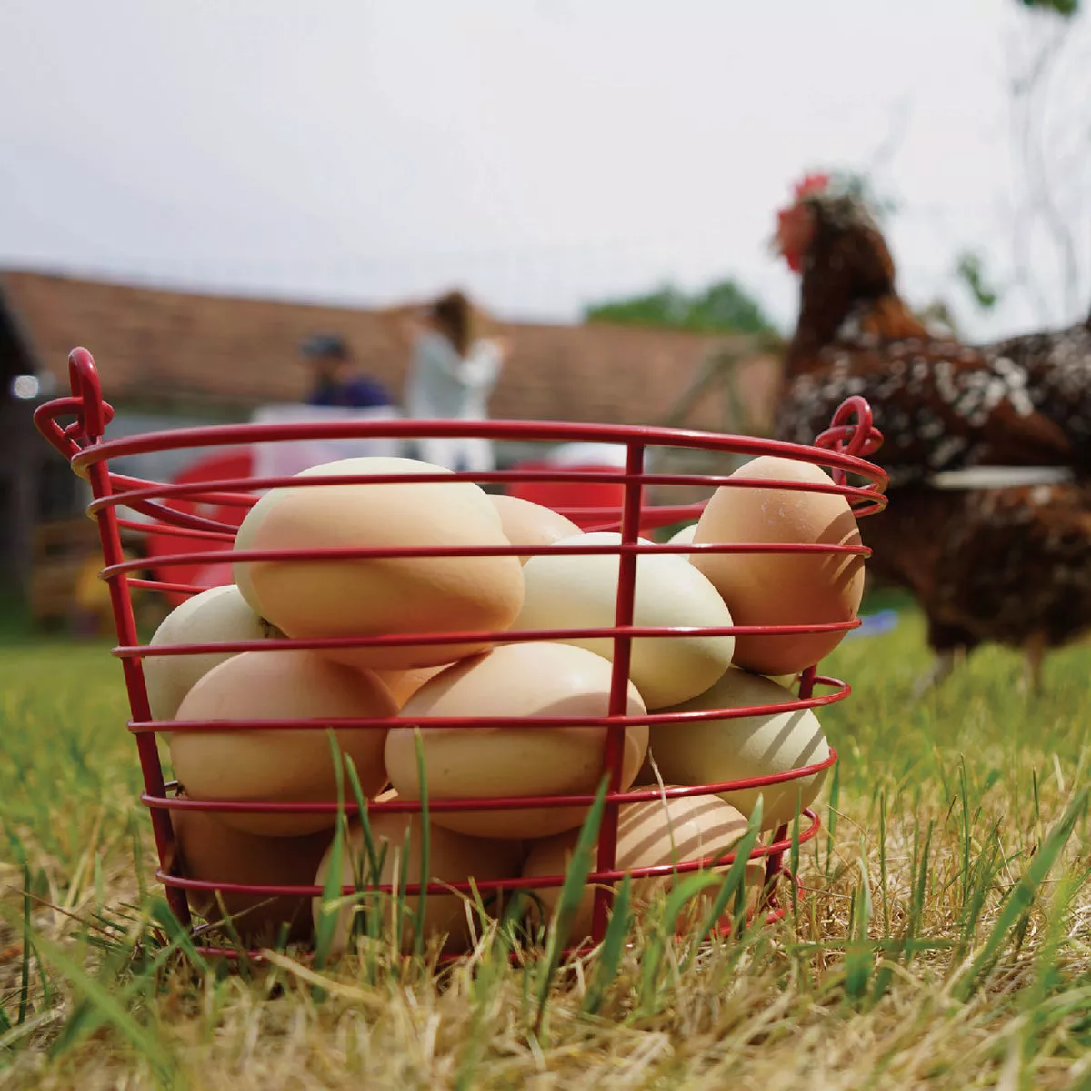 Stromberg's Large Red Egg Basket - photo 2