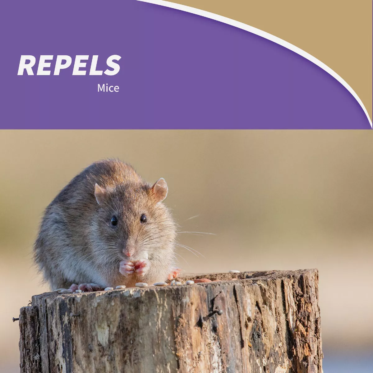 Bonide Mouse Magic Granular Mouse Repellent Scent Packs (4-Pack) - photo 2
