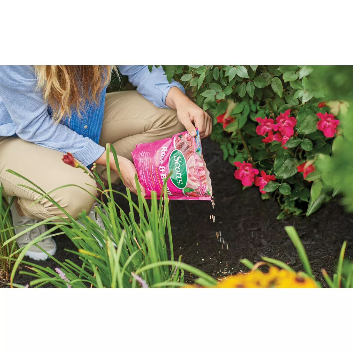 Scotts 3 Lb. Rose & Bloom Continuous Release Plant Food - photo 2